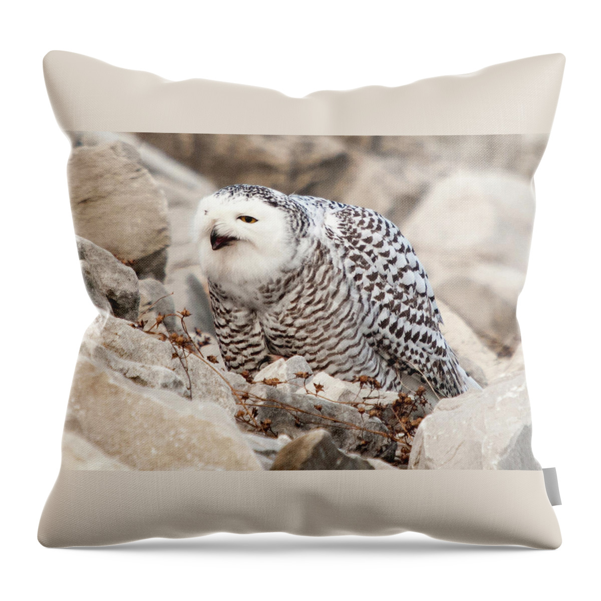 Missouri Throw Pillow featuring the photograph Laughing Owl by Steve Stuller
