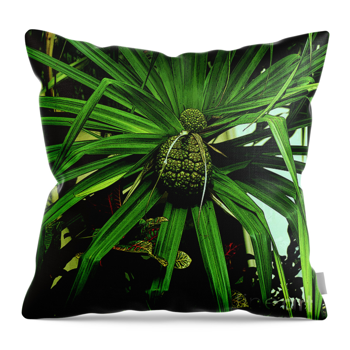 Hala Throw Pillow featuring the photograph Lauhala Plant by Craig Wood