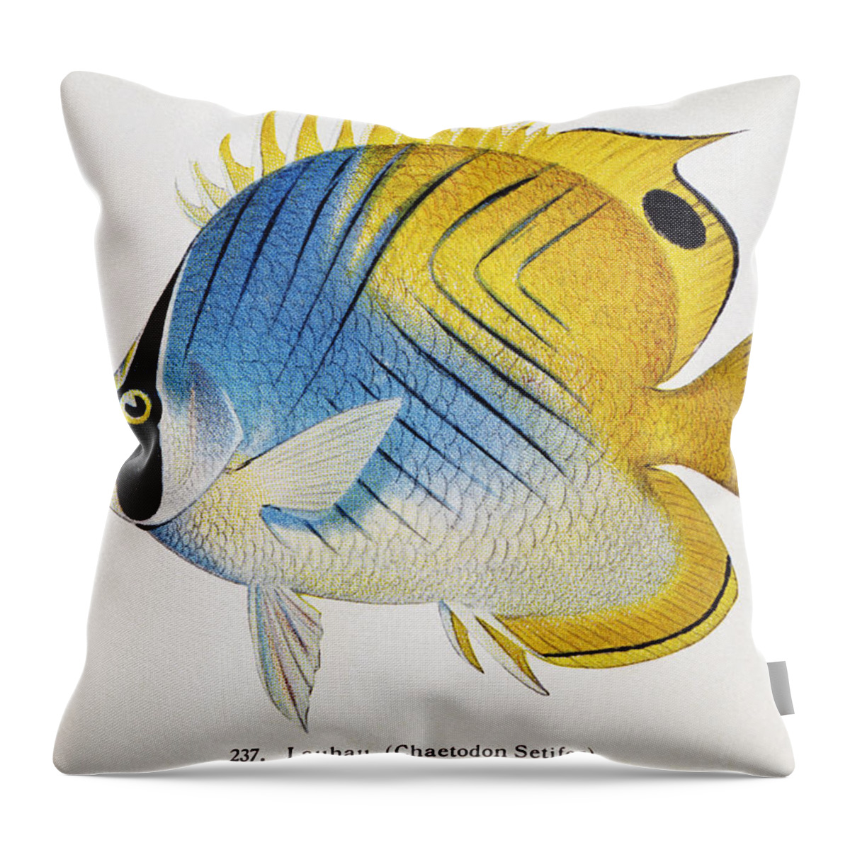 1895 Throw Pillow featuring the painting Lauhau by Hawaiian Legacy Archive - Printscapes