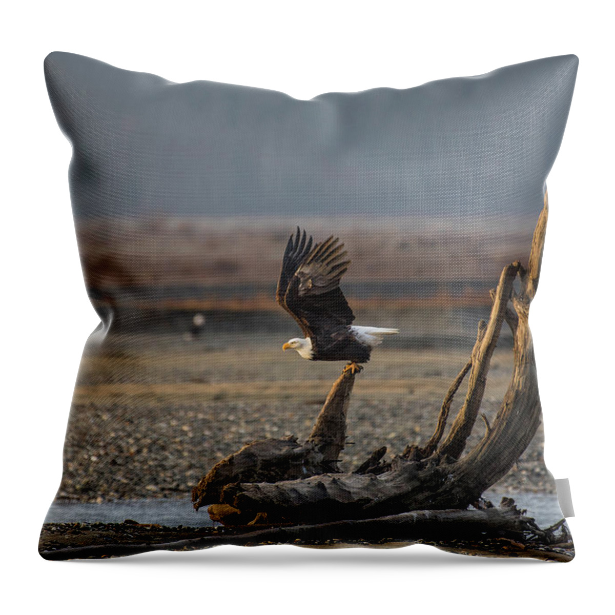 Bald Eagle Throw Pillow featuring the photograph Launch by David Kirby