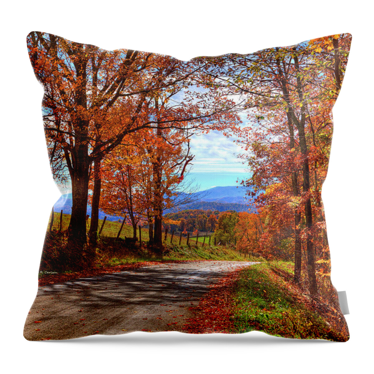 Autumn Throw Pillow featuring the photograph Laurel Hill Autumn by Dale R Carlson