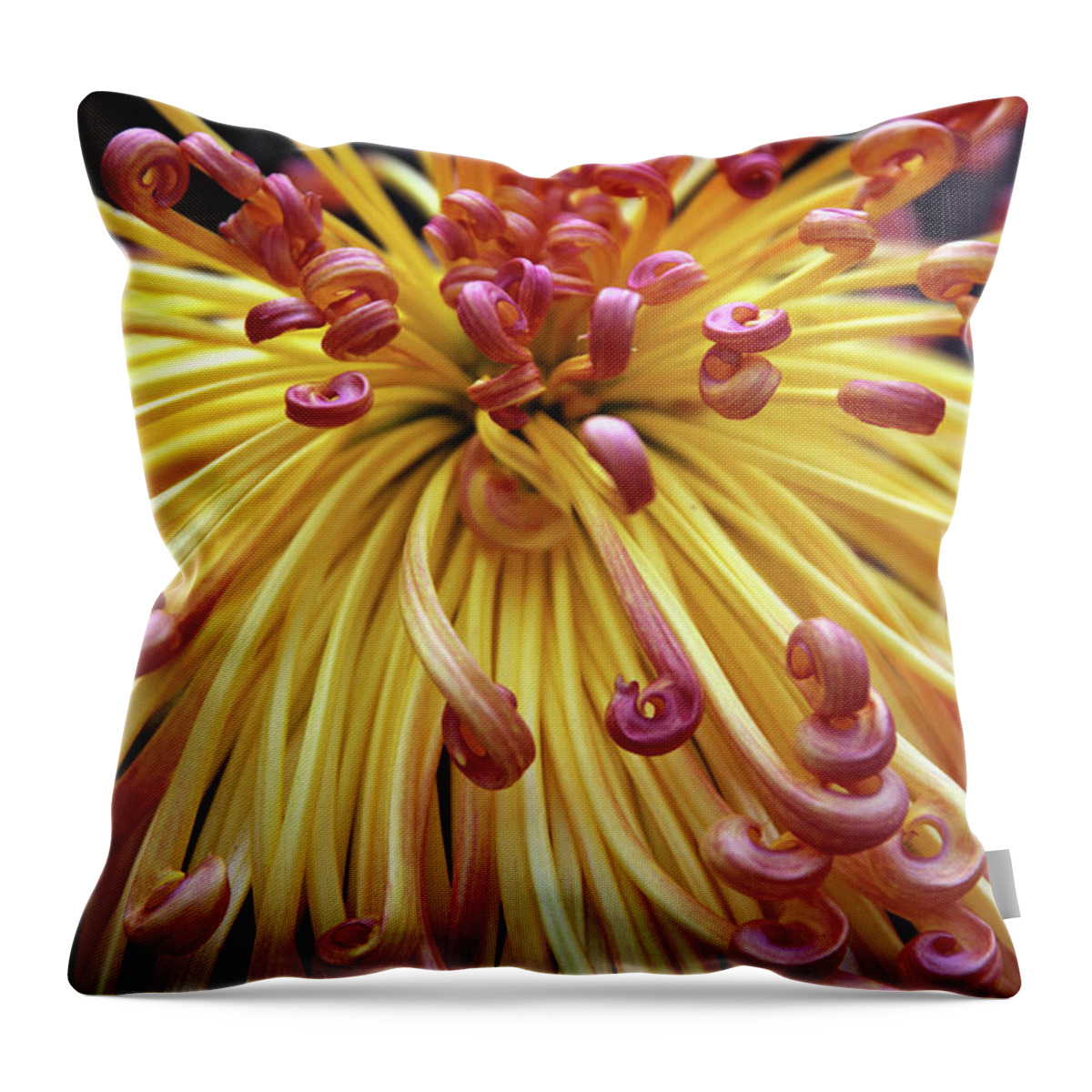 Chrysanthemum Throw Pillow featuring the photograph Lava Chrysanthemum II by Jessica Jenney