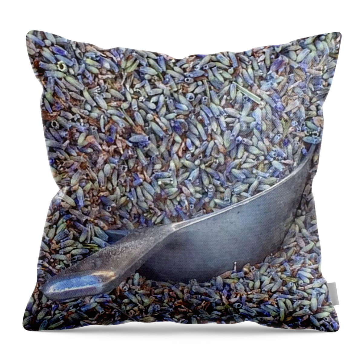 Lavender Bud Scoop Throw Pillow featuring the photograph Lavender Bud Scoop by Susan Garren