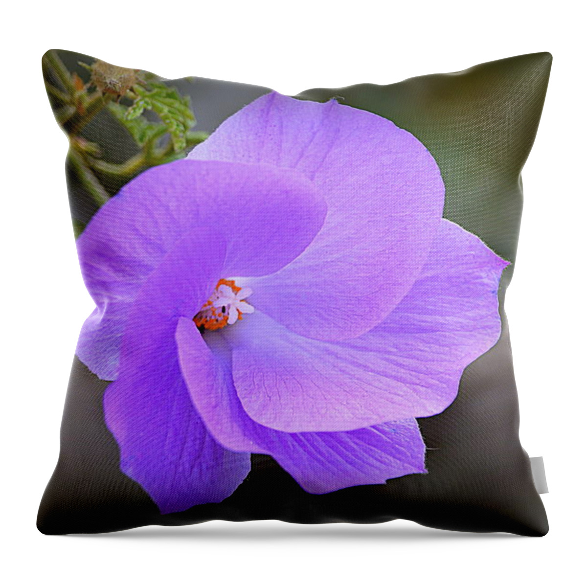 Flower Throw Pillow featuring the photograph Lavender Flower by AJ Schibig