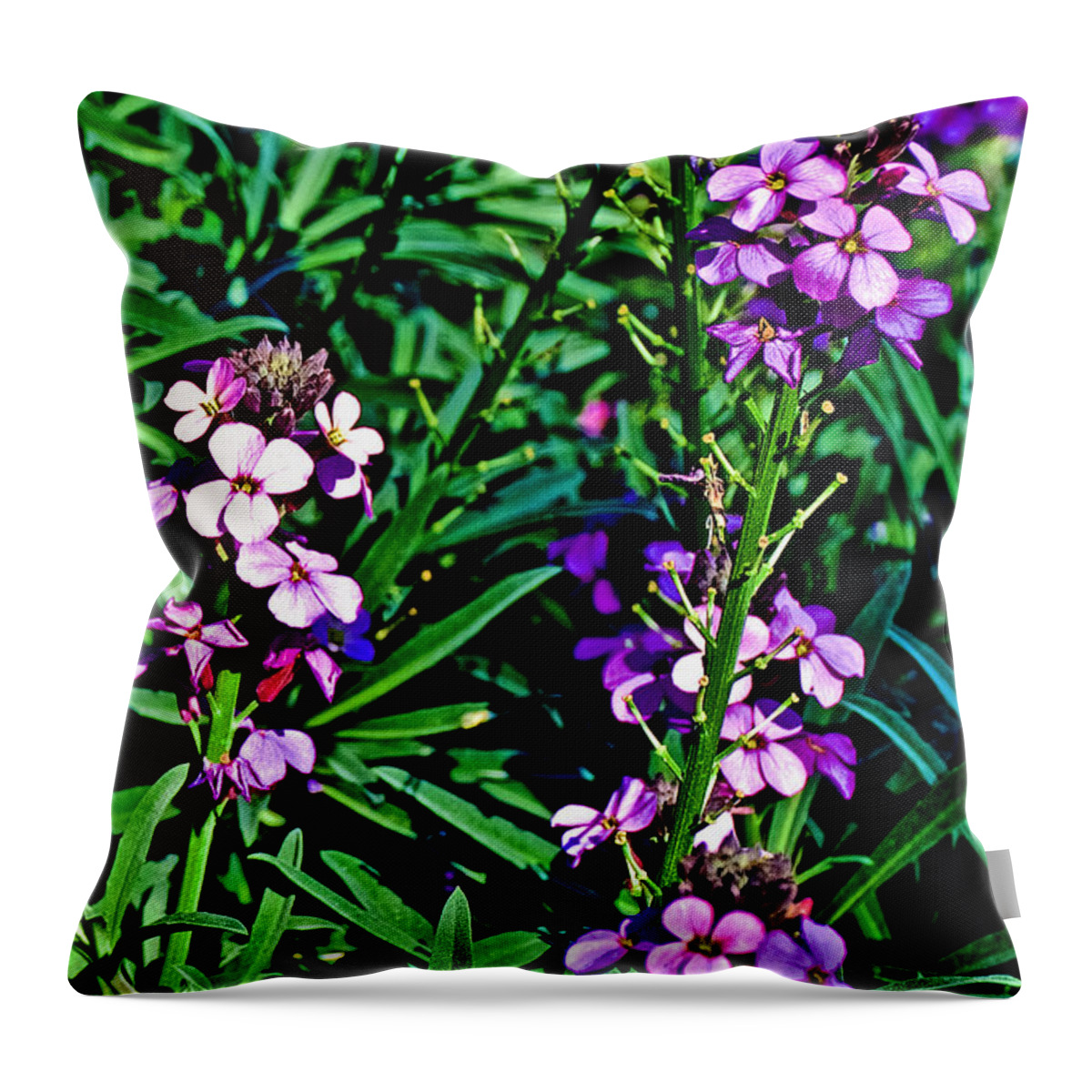 Verbena At Pilgrim Place In Claremont Throw Pillow featuring the photograph Verbena at Pilgrim Place in Claremont-California  by Ruth Hager