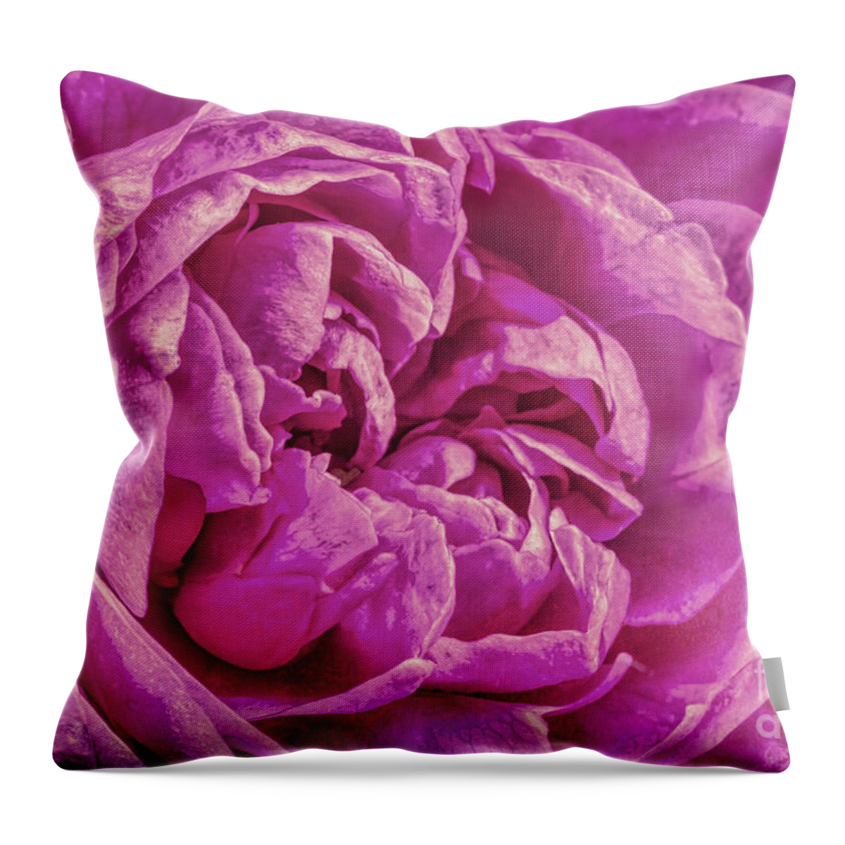 Peony Throw Pillow featuring the digital art Lavender Motive by Jean OKeeffe Macro Abundance Art