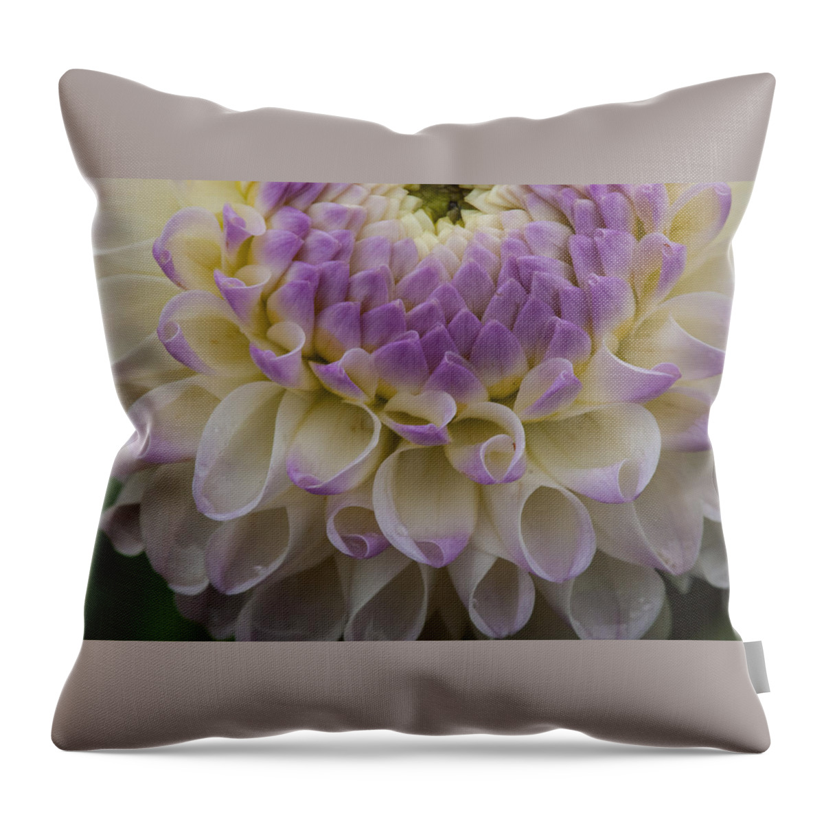 Bonneyvill Mills Park Throw Pillow featuring the photograph Lavender shades by Brian Green