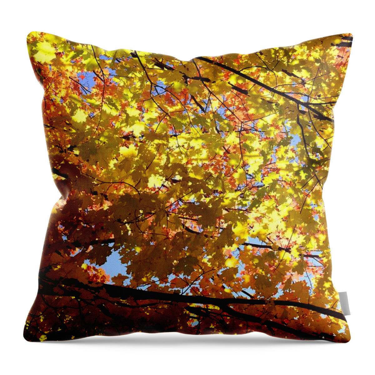 Autumn Throw Pillow featuring the photograph Layers of Autumn by Corinne Rhode