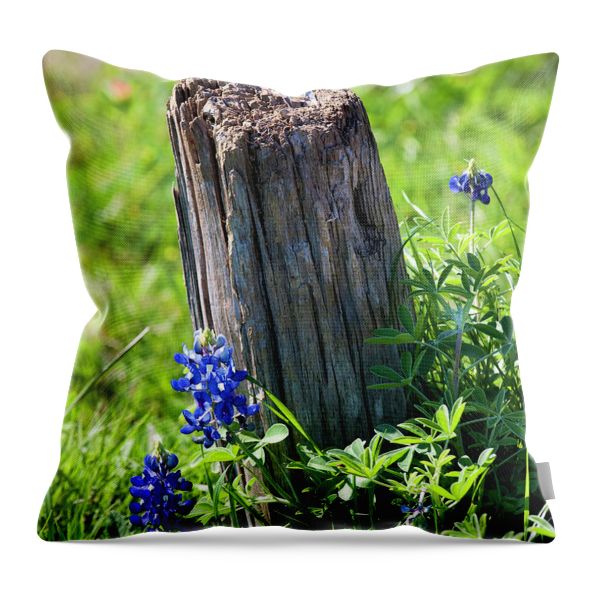 Blue Bonnets Throw Pillow featuring the photograph Lazin' In the Sun by Joan Bertucci