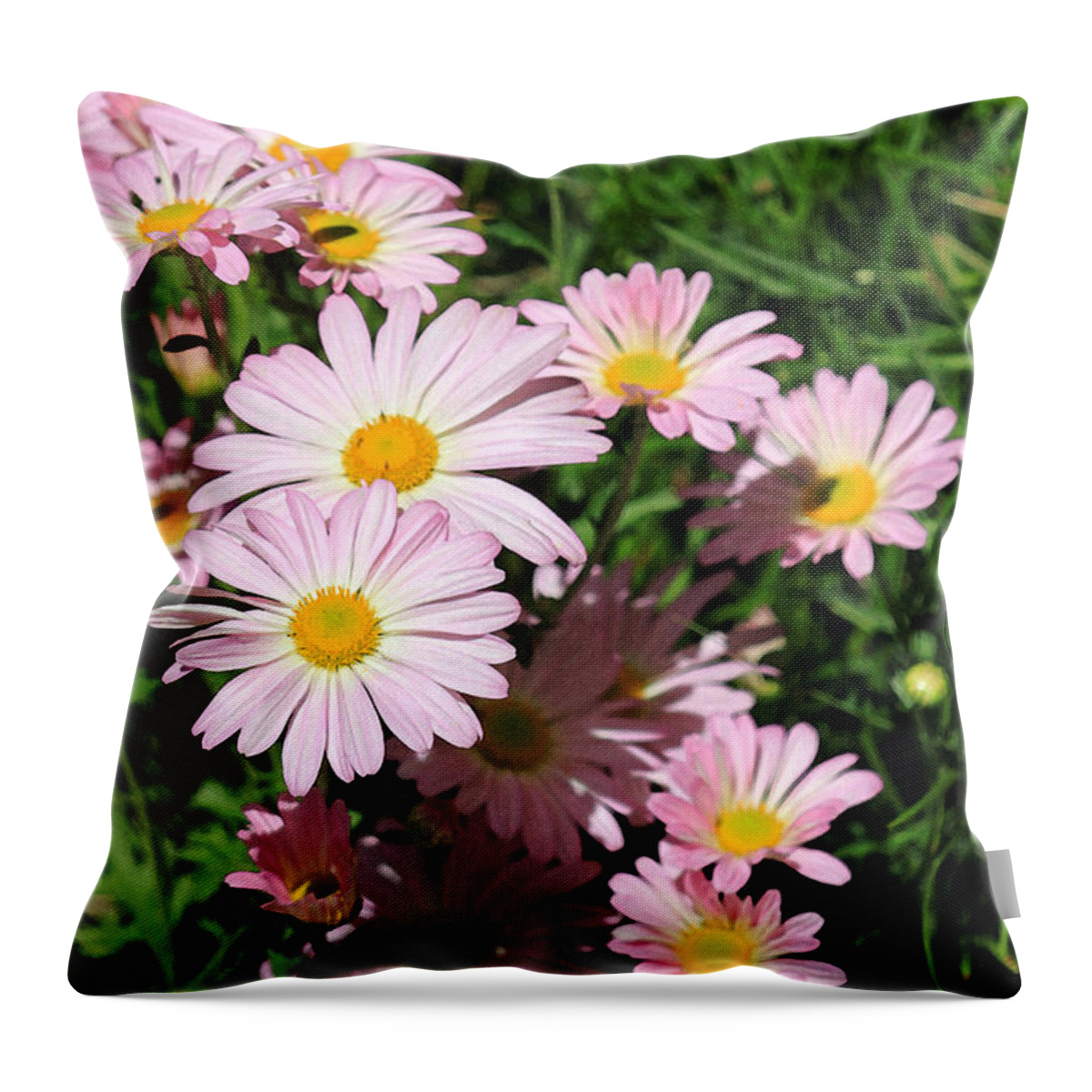 Daisy Throw Pillow featuring the photograph Lazy Daisy Mums by Suzanne Gaff