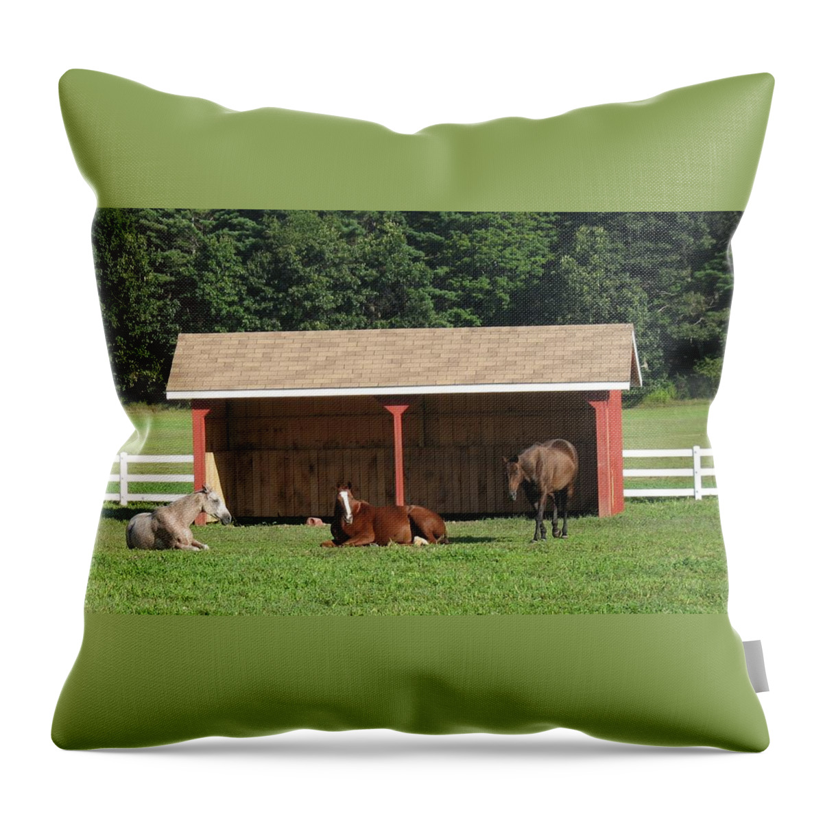 Horses Throw Pillow featuring the photograph Lazy Horses by Ed Smith