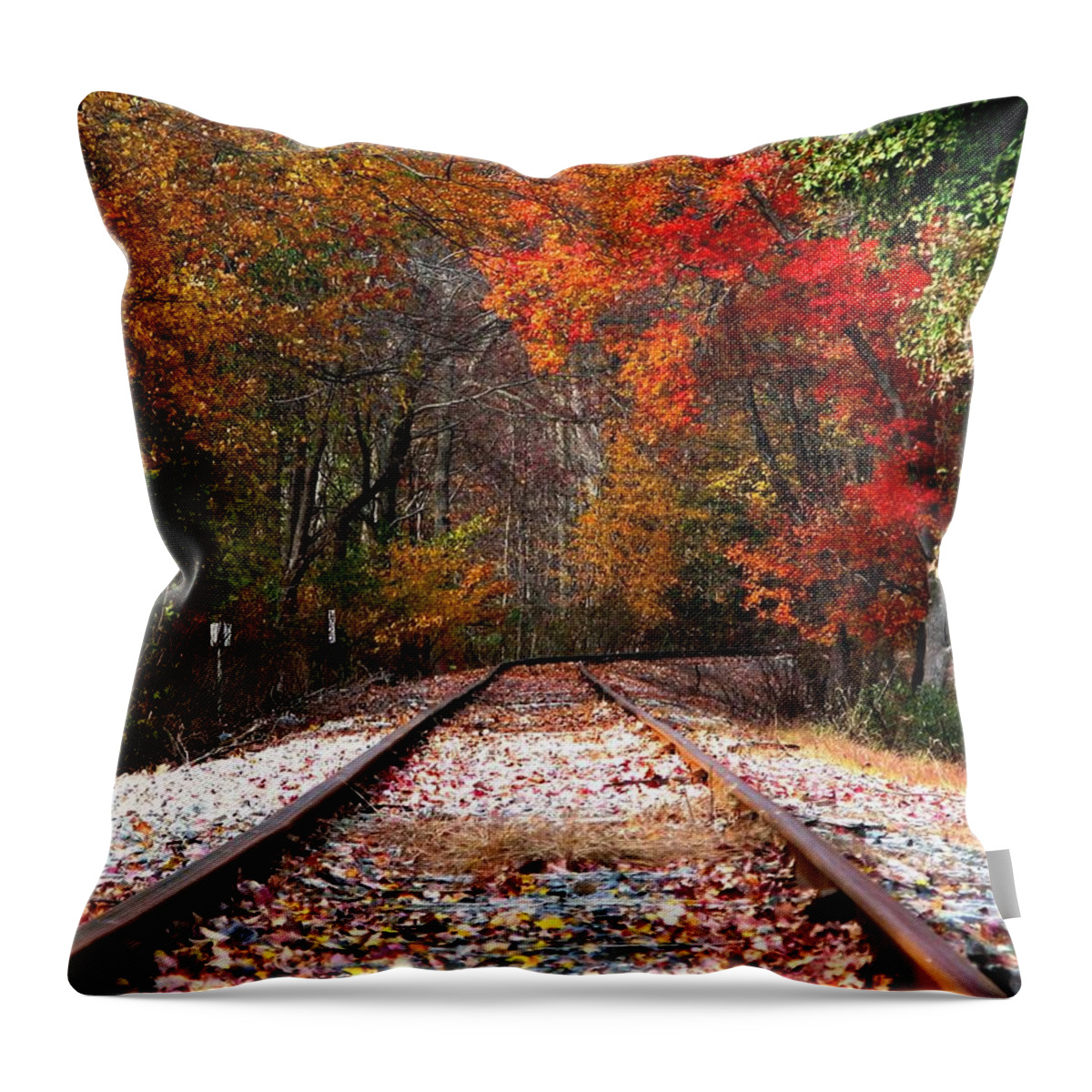 Tracks Throw Pillow featuring the photograph Lead Me Home by Angela Davies