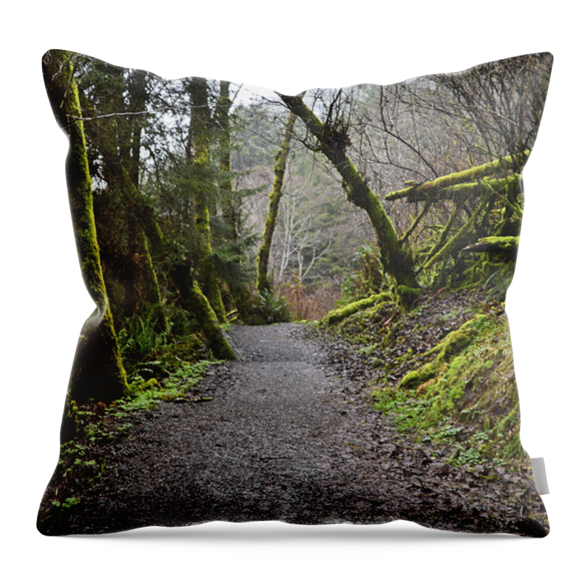 Path Throw Pillow featuring the photograph Lead Me by Kellie Prowse