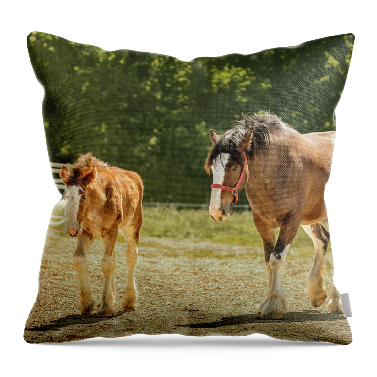 Animal Throw Pillow featuring the photograph Leading The Way by Bill and Linda Tiepelman