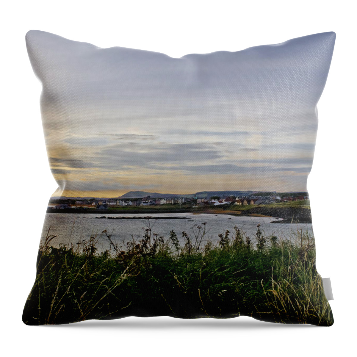 Evening Landscape Throw Pillow featuring the photograph Leading to the Twilight. by Elena Perelman