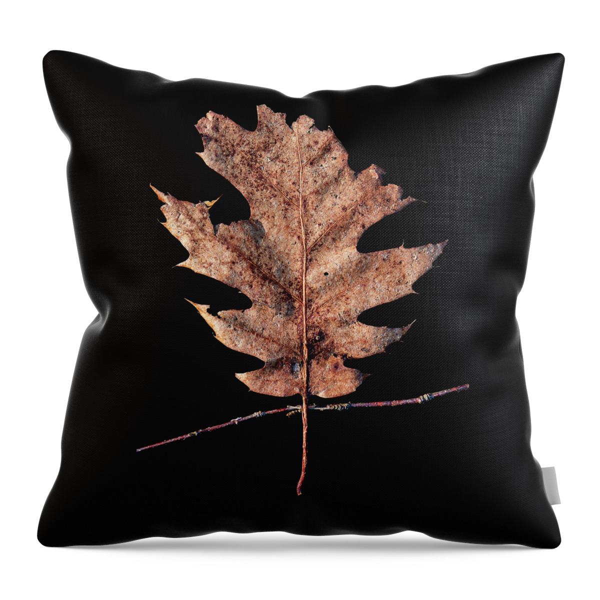 Leaves Throw Pillow featuring the photograph Leaf 22 by David J Bookbinder
