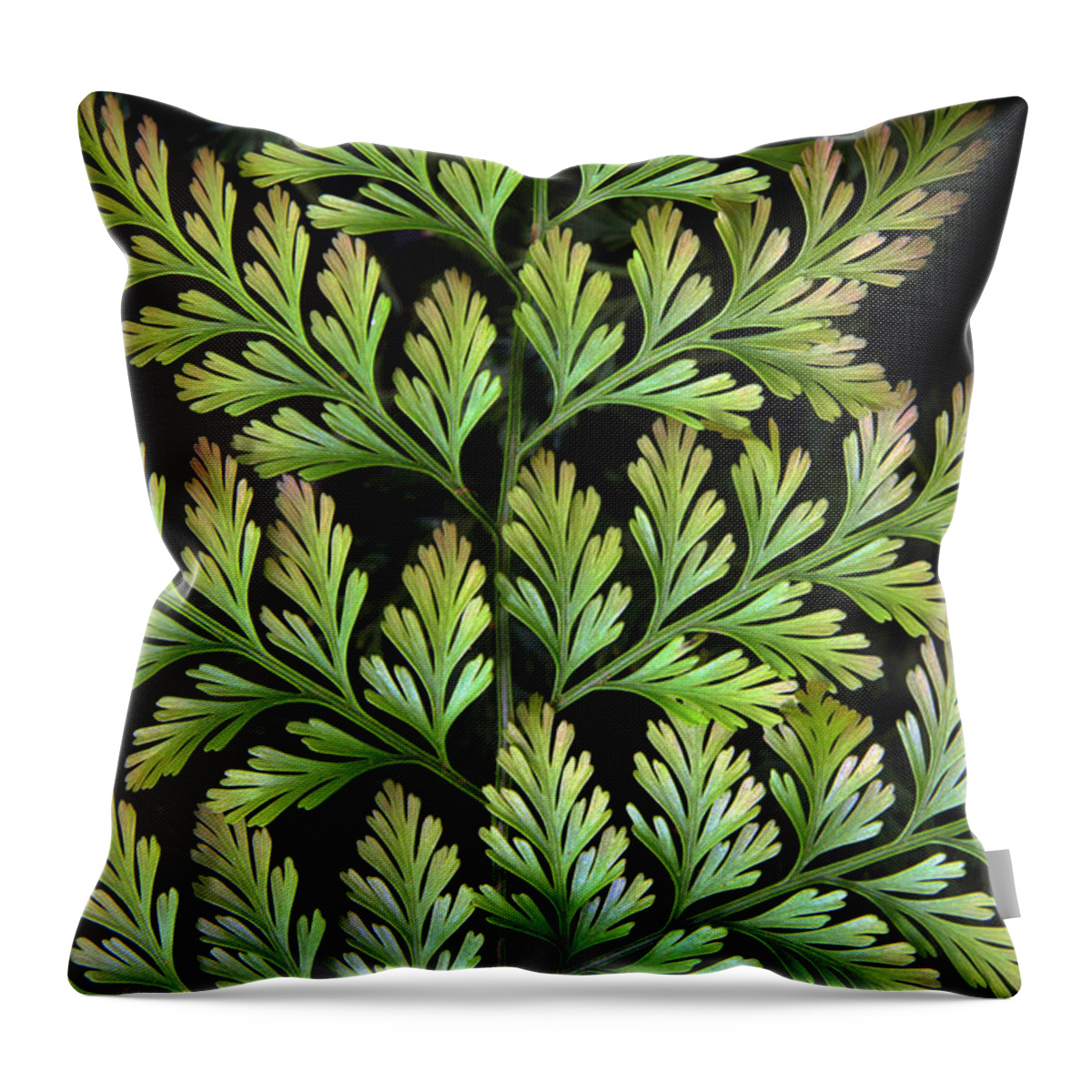 Leaf Throw Pillow featuring the photograph Leaf Abstract by Jessica Jenney