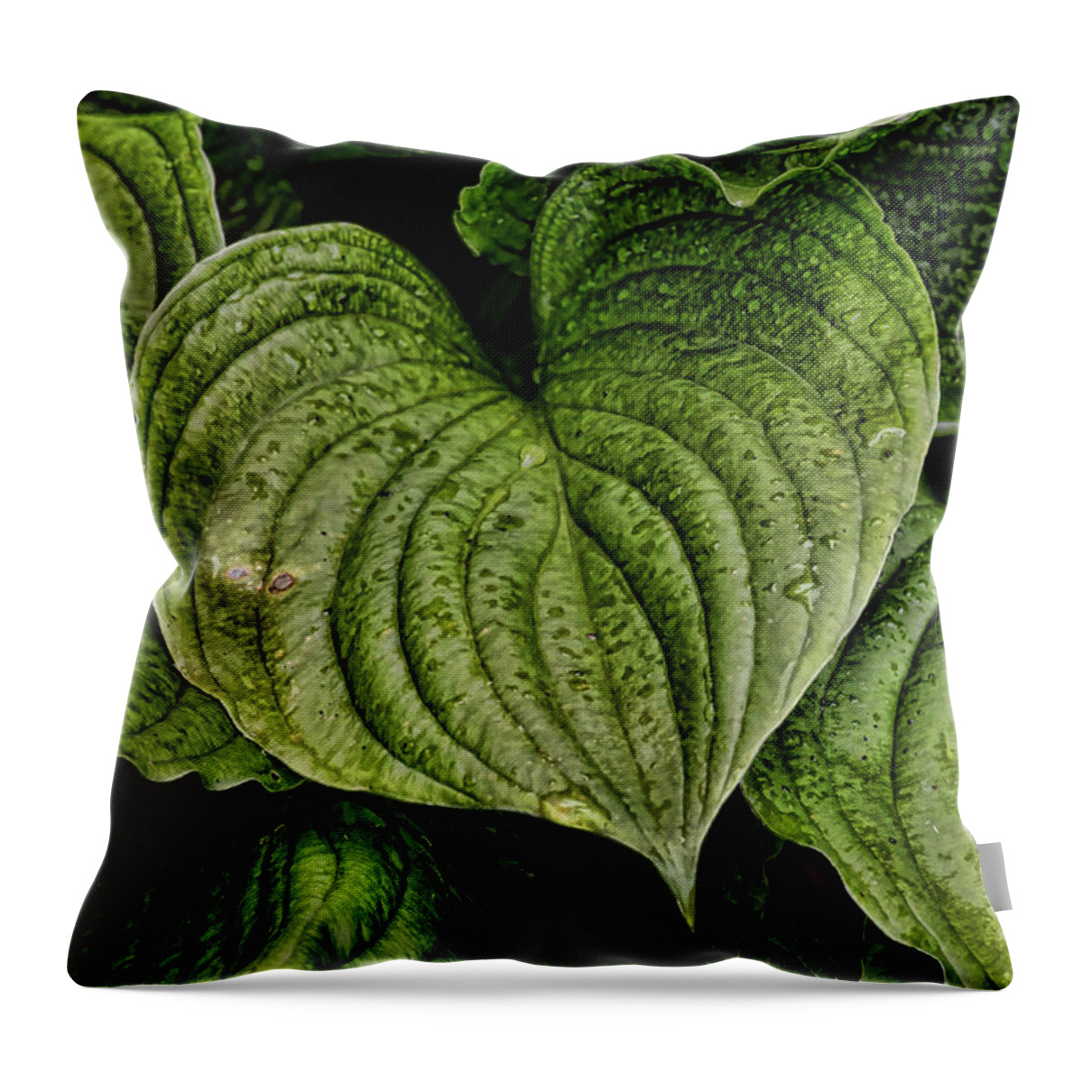 Leaf Throw Pillow featuring the photograph Leaf Heart by Kerri Farley