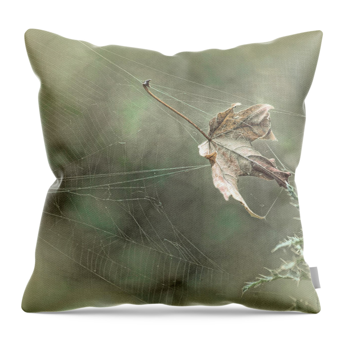 Spiderweb Throw Pillow featuring the photograph Leaf in Spiderweb by Bonnie Bruno