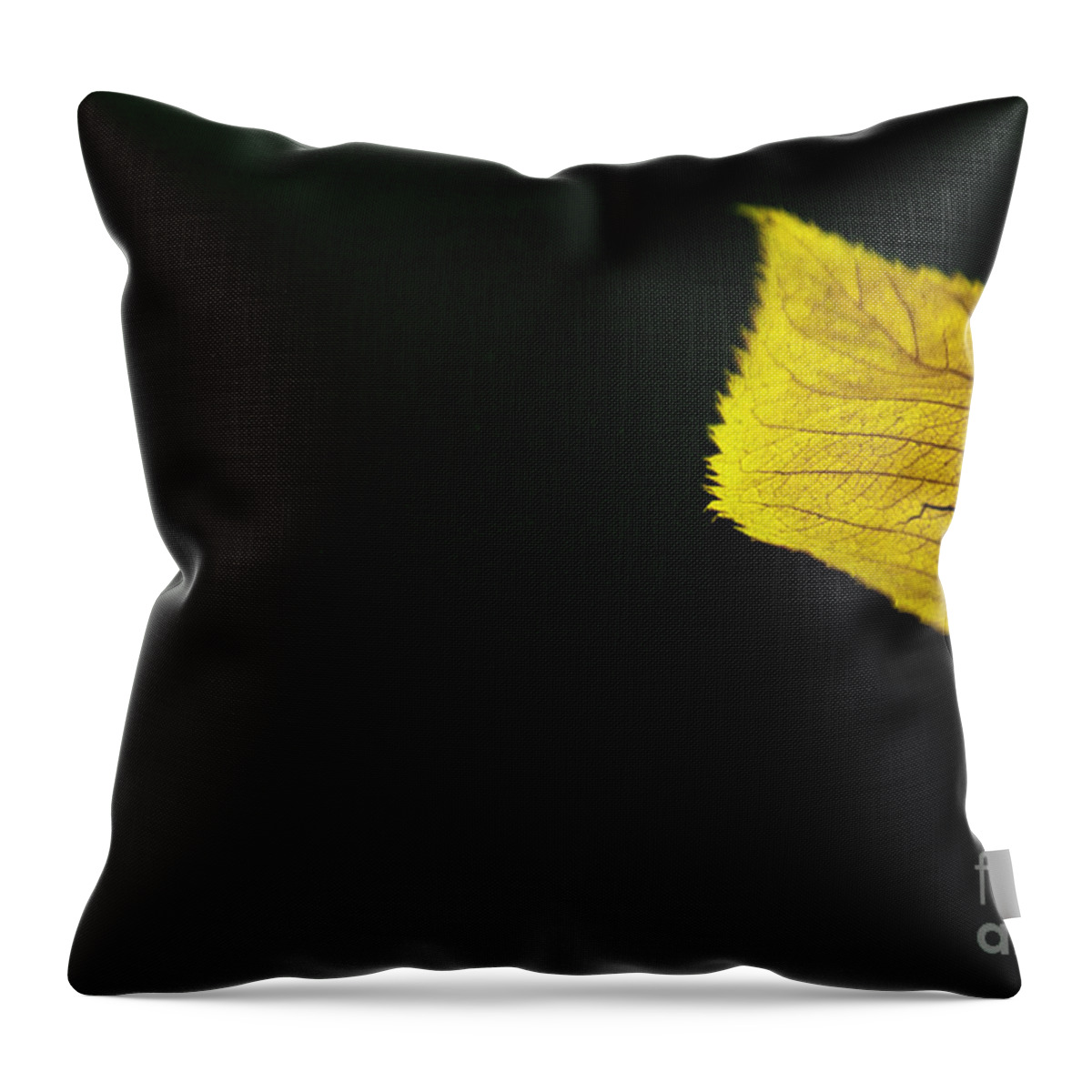 Autumn Throw Pillow featuring the photograph Leaf by Eena Bo
