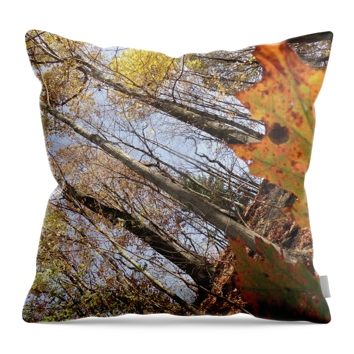 Leaves Throw Pillow featuring the photograph Leaf Peepers by Trish Hale