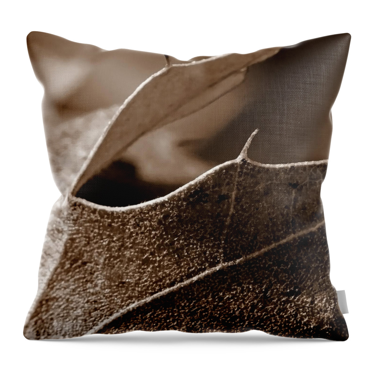 Macro Throw Pillow featuring the photograph Leaf Study in Sepia II by Lauren Radke