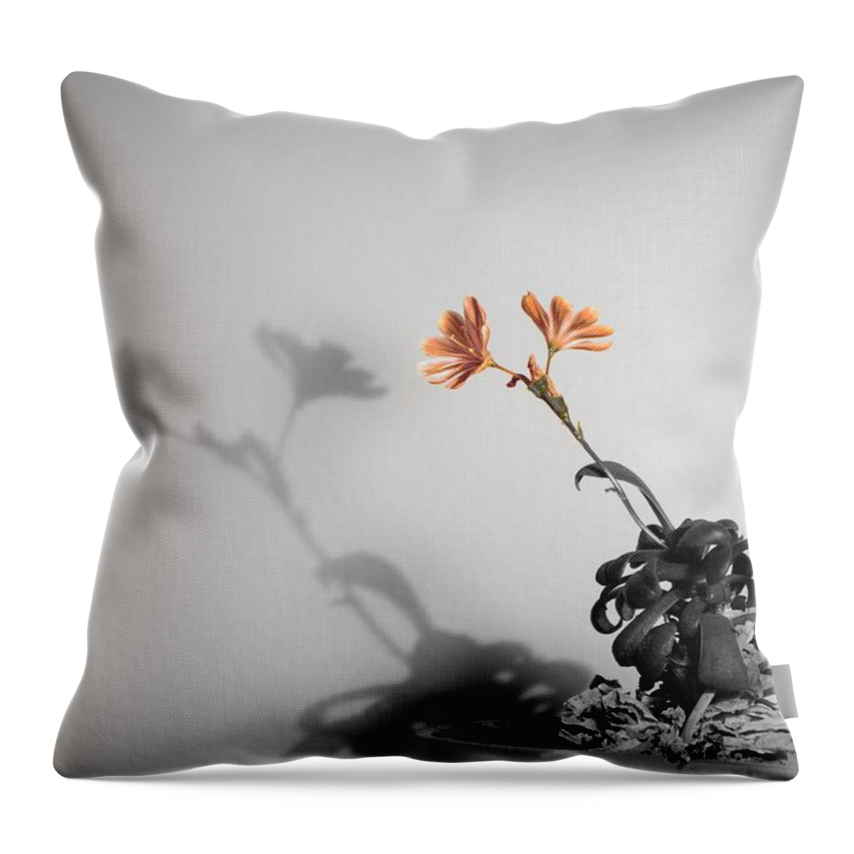 Flower Throw Pillow featuring the photograph Lean on Me by Tim Beebe