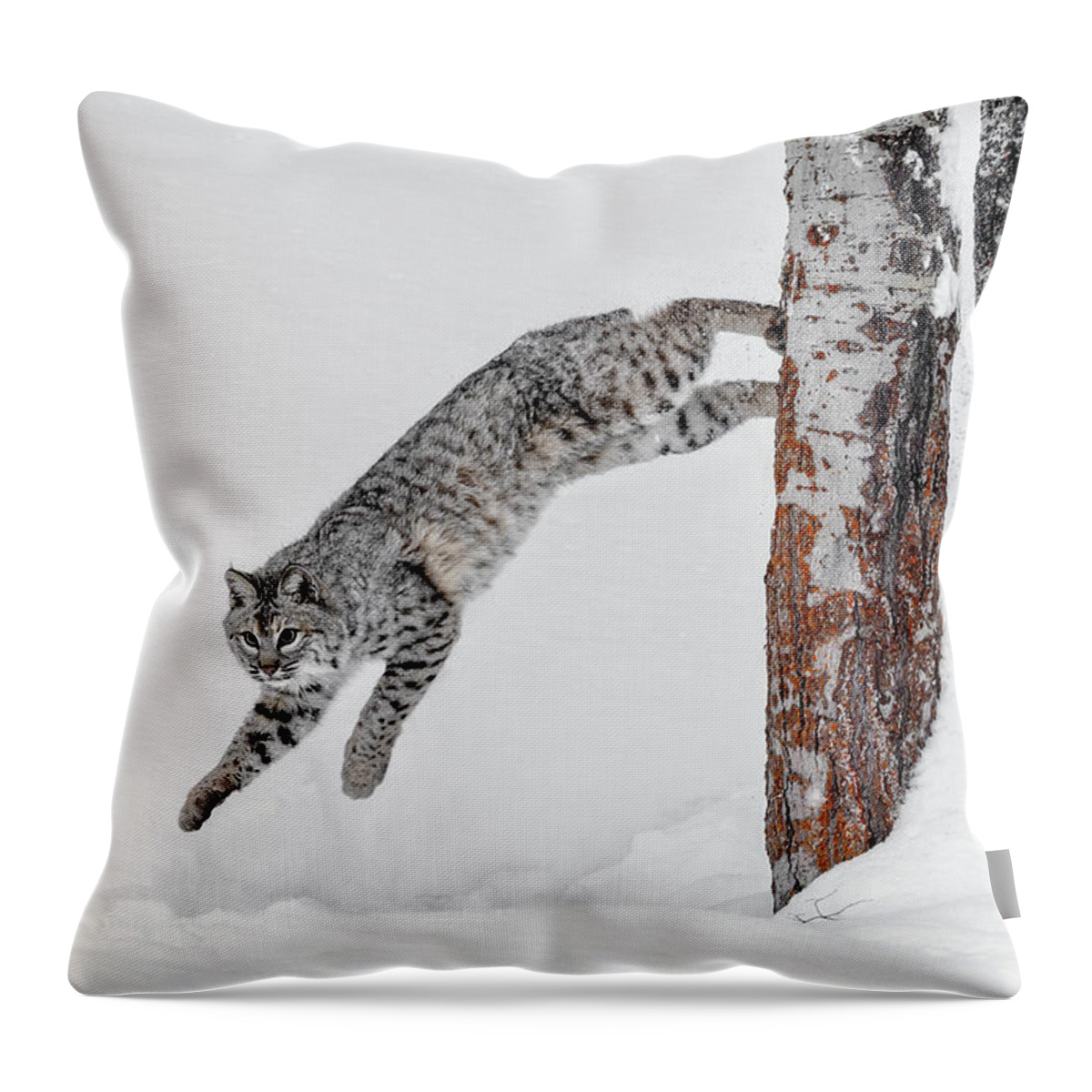 Leapin Bobcat Throw Pillow featuring the photograph Leapin Bobcat by Wes and Dotty Weber
