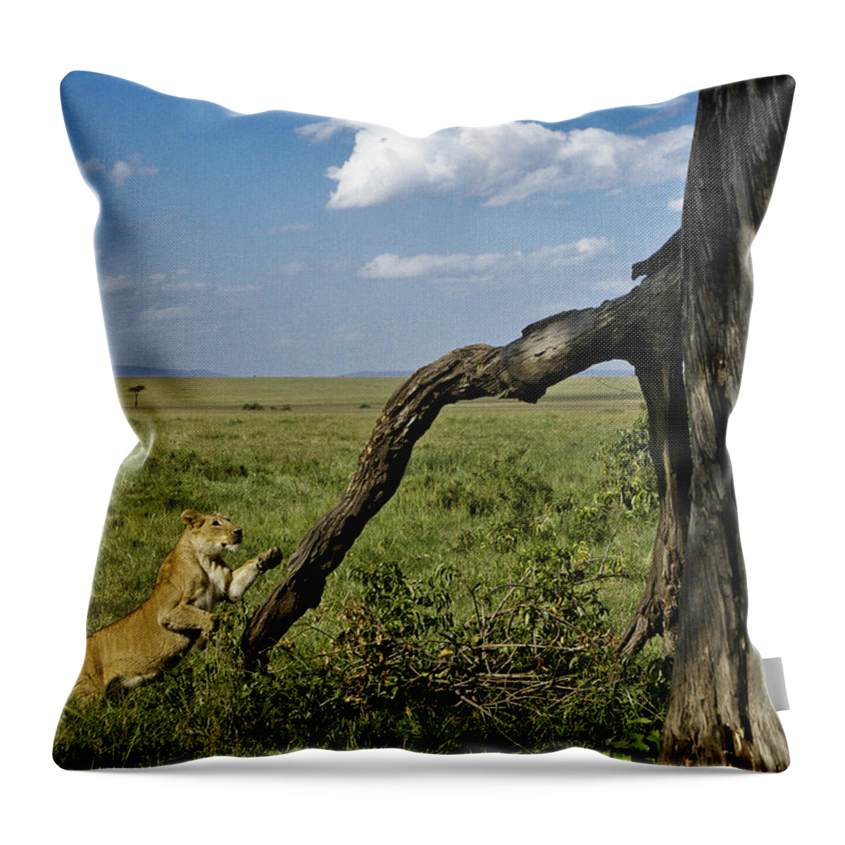Africa Throw Pillow featuring the photograph Leaping Lion by Michele Burgess