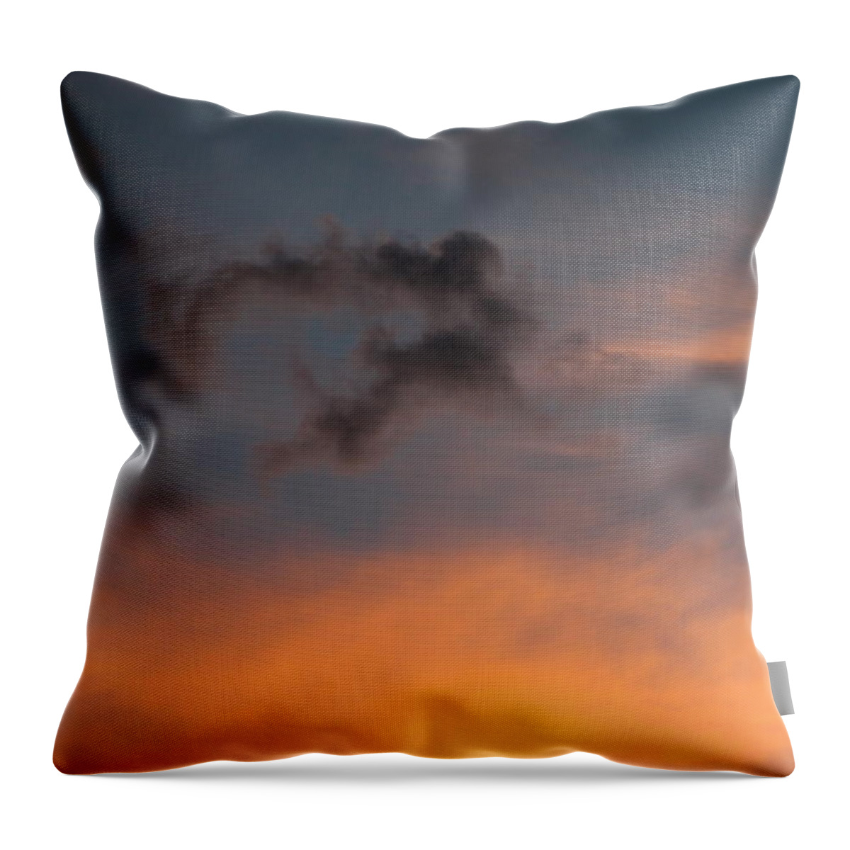 Fly Throw Pillow featuring the photograph Learning to Fly by Cathie Douglas