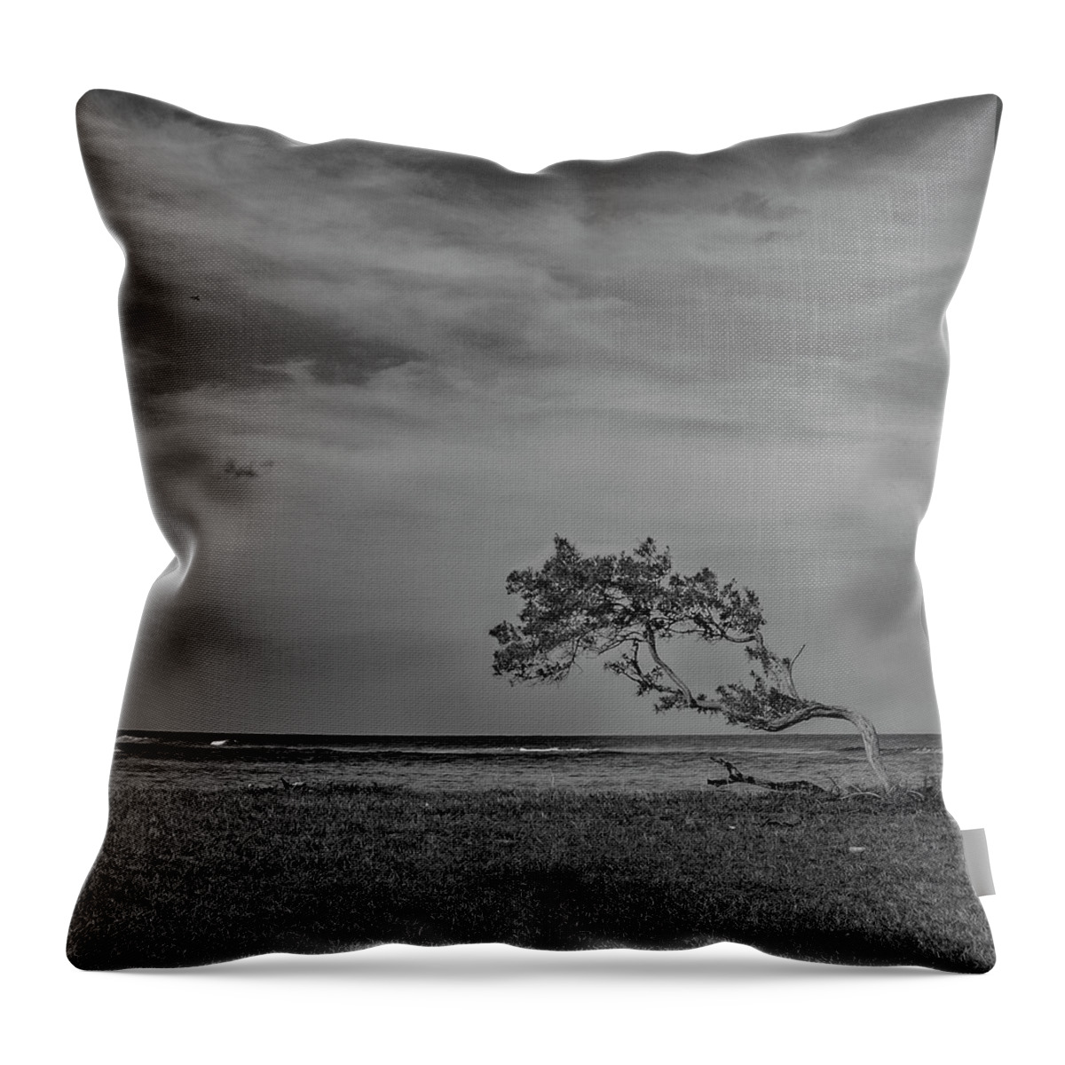 Black And White Throw Pillow featuring the photograph Learning To Fly by Wendy Franco Carballo