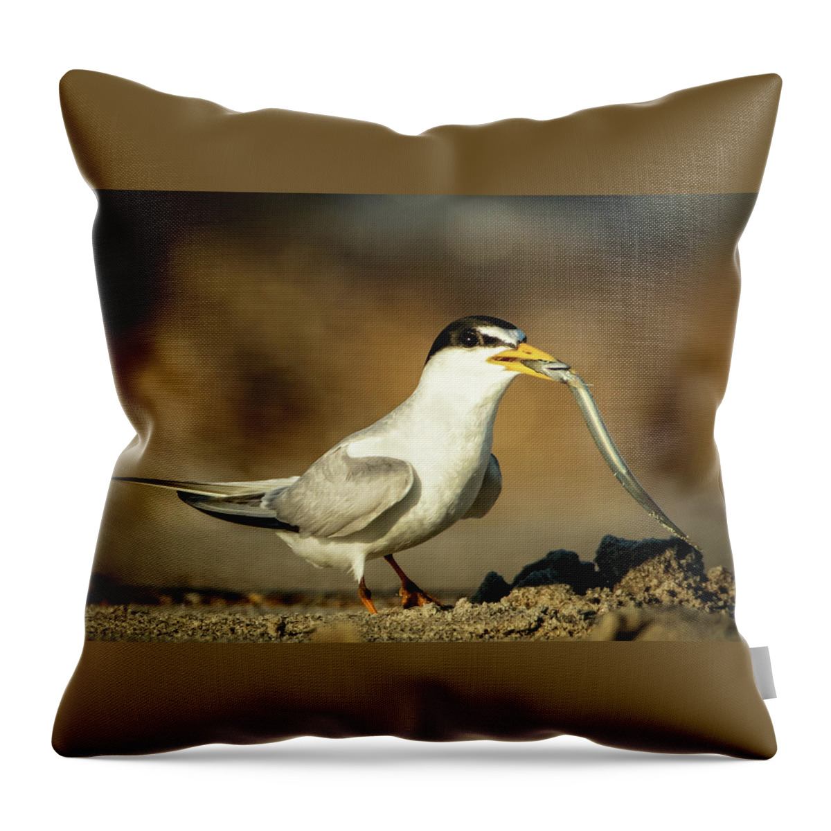 Tern Throw Pillow featuring the photograph Lest Tern has dinner by Steven Upton
