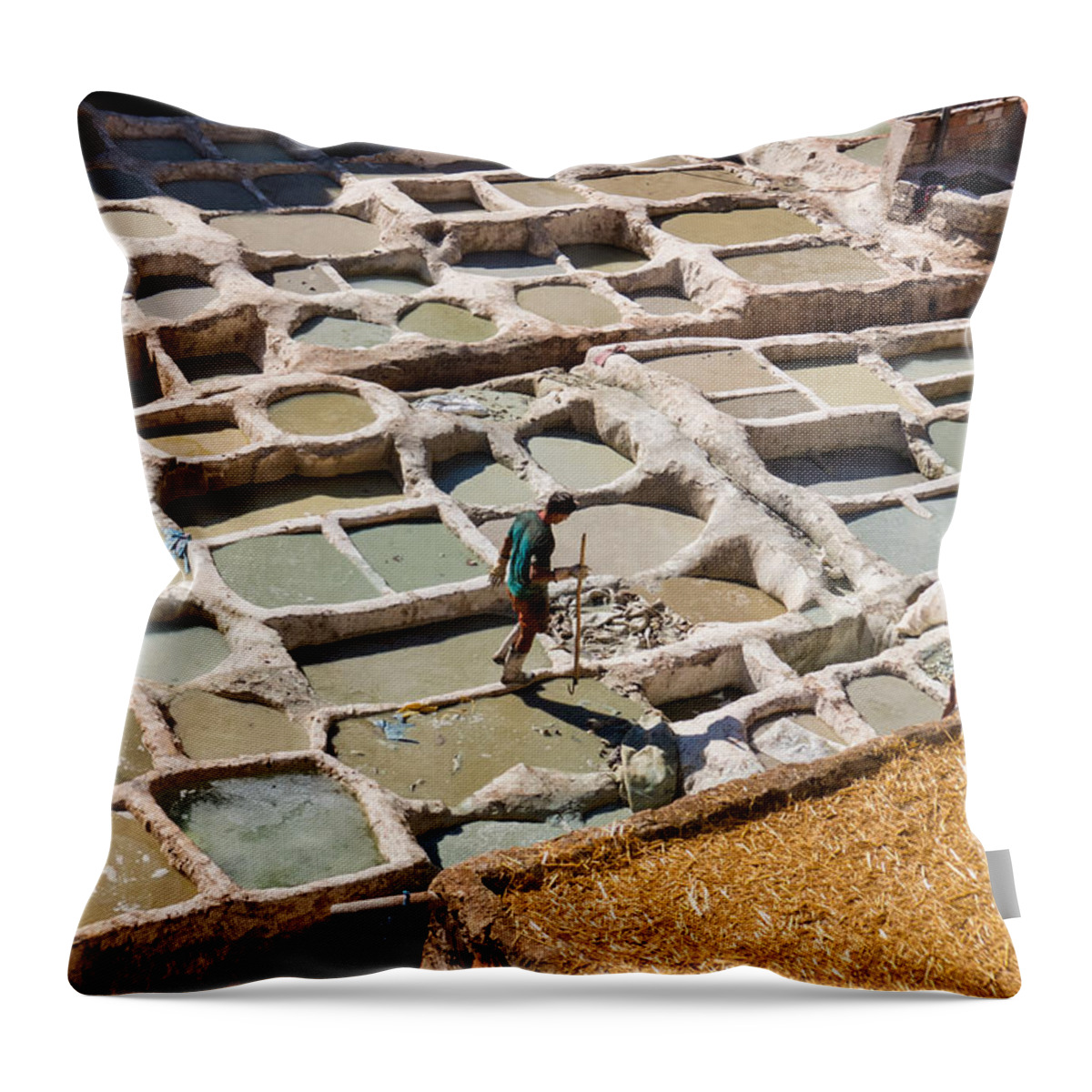 Fes Throw Pillow featuring the photograph Leather tanneries of Fes - 7 by Claudio Maioli