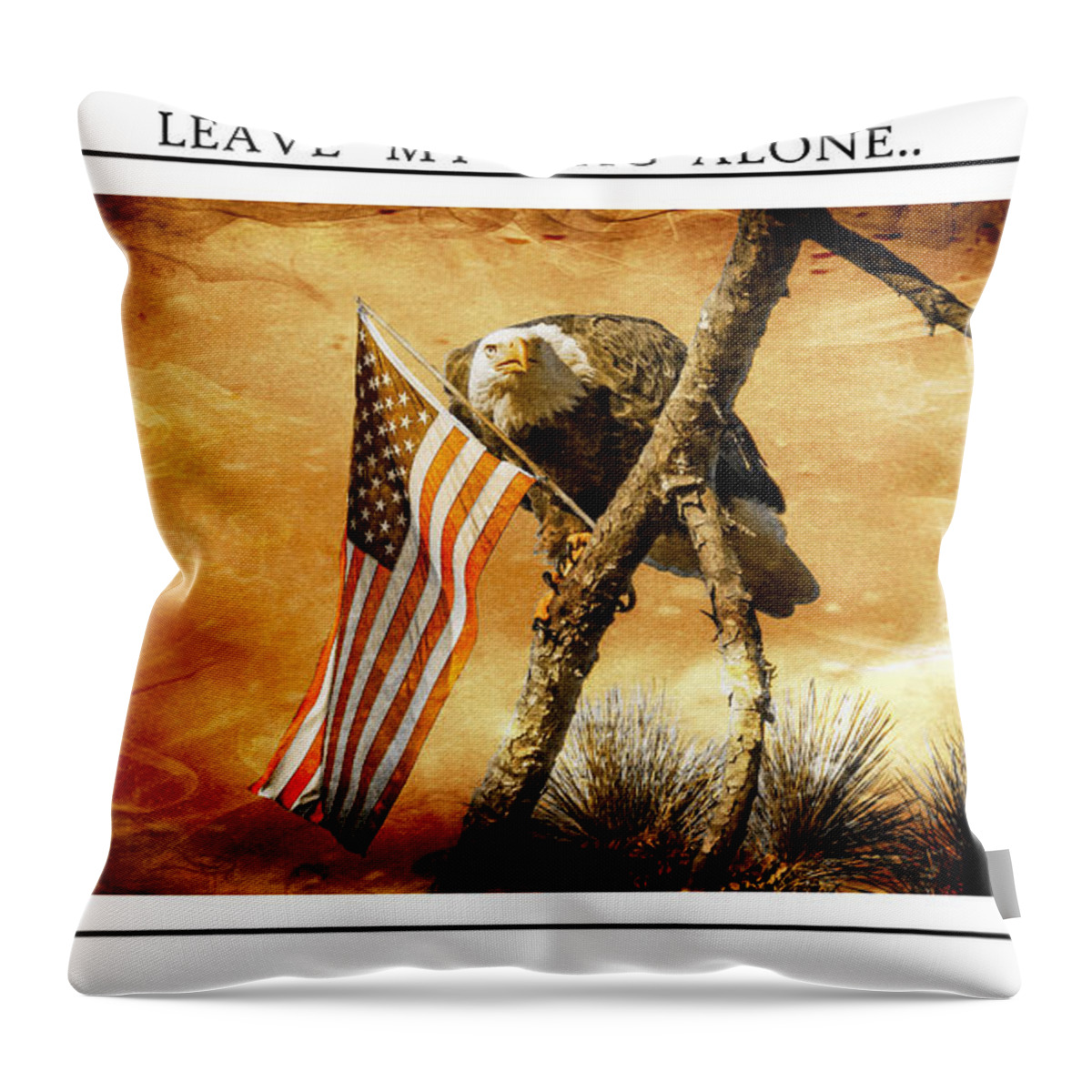 Eagle Throw Pillow featuring the photograph Leave My Flag Alone by Geraldine DeBoer