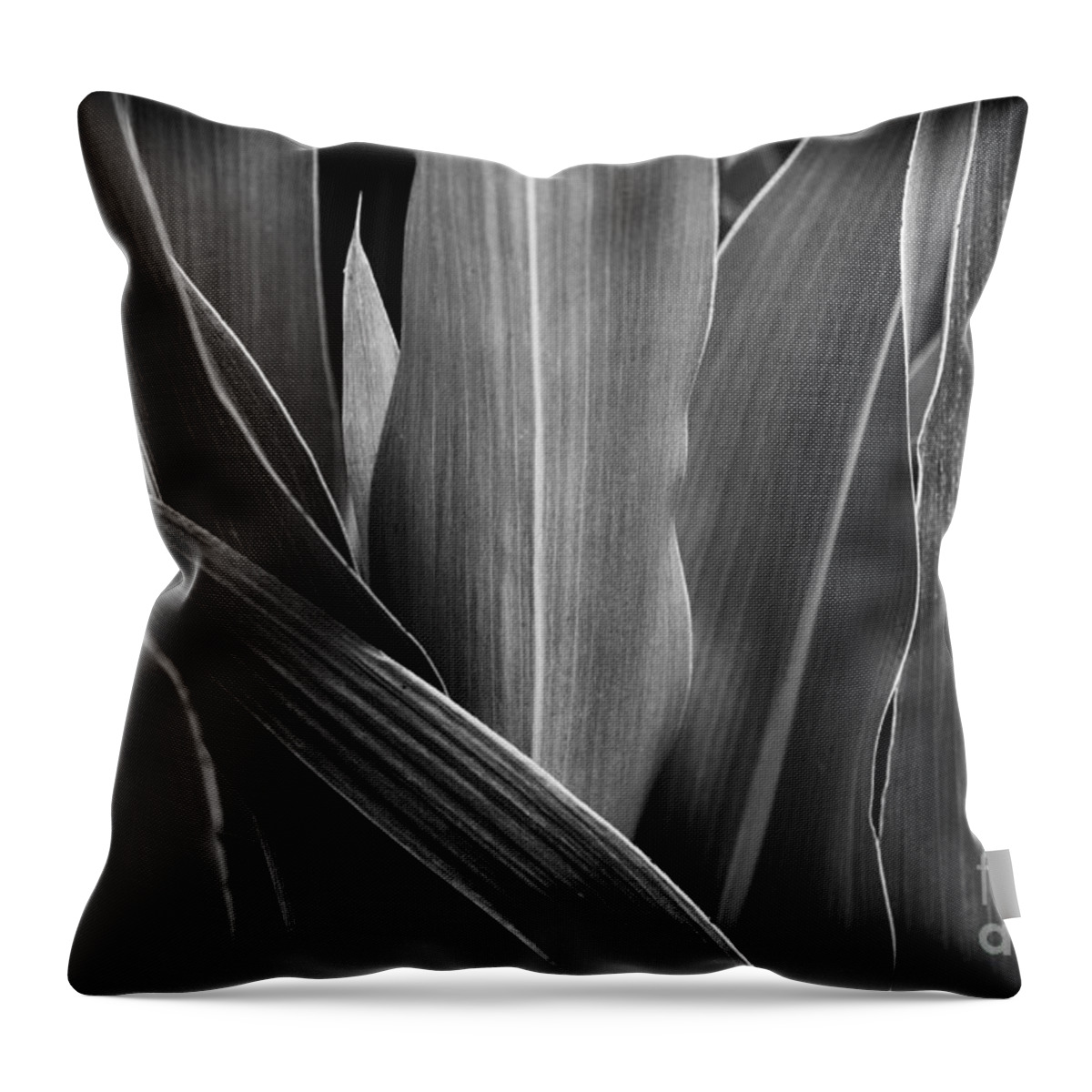 Garden Throw Pillow featuring the photograph Leaves Lines and Tones by Thomas R Fletcher