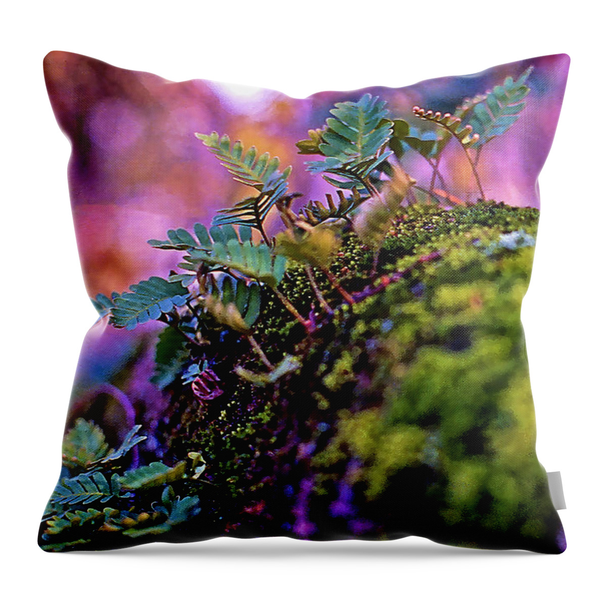 Leaves On A Log Throw Pillow featuring the photograph Leaves On A Log by Bellesouth Studio
