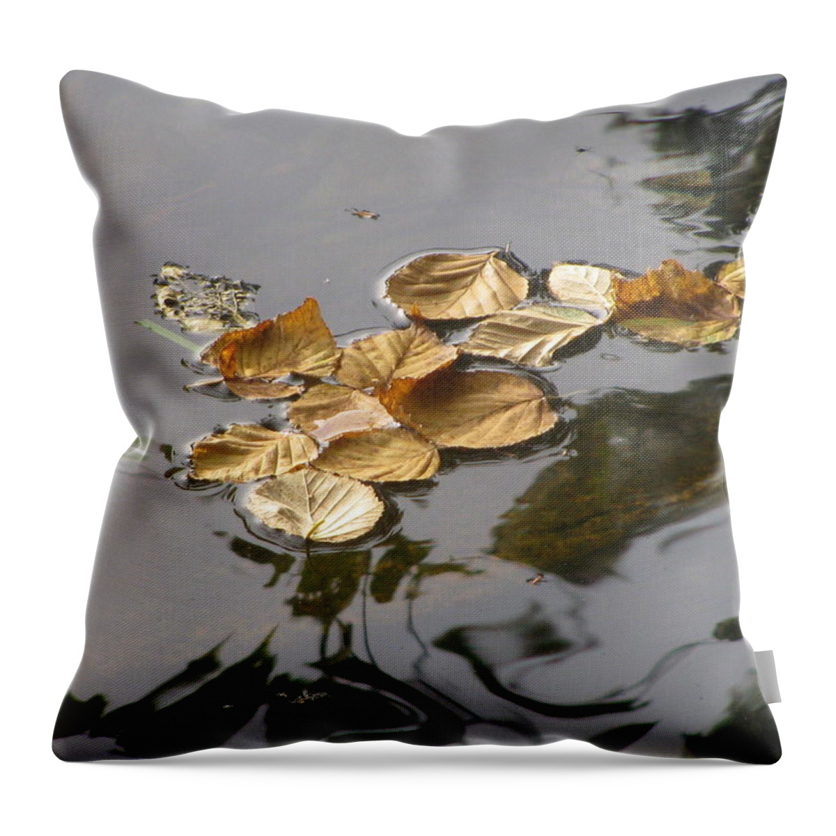 Water Throw Pillow featuring the photograph Leaves On Water by Alfred Ng