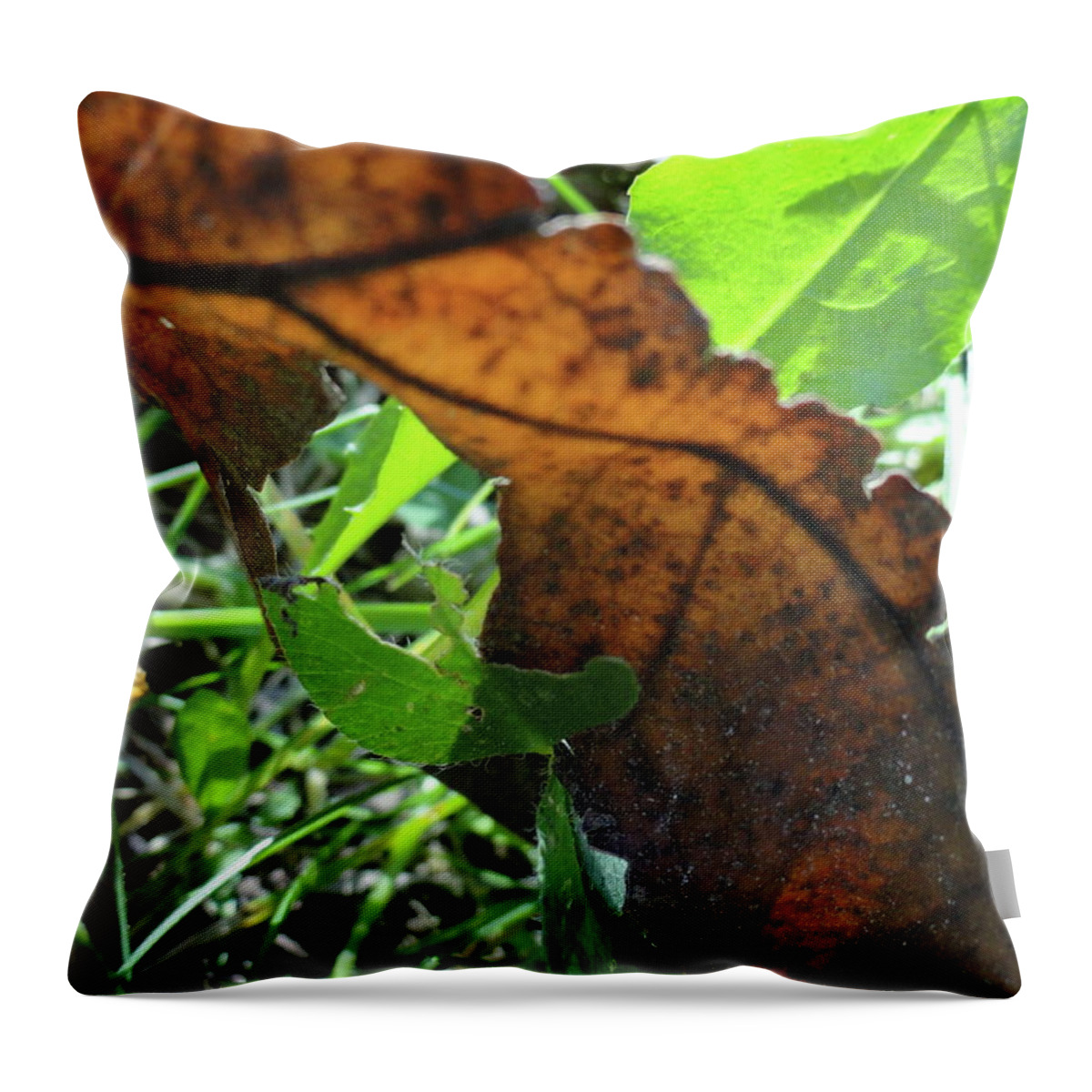 Leaves Throw Pillow featuring the photograph Leaves Still by Trish Hale