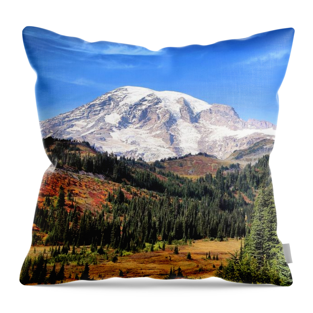 Leaving Paradise Throw Pillow featuring the photograph Leaving Paradise by Lynn Hopwood