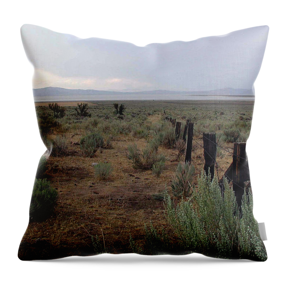 Nevada Throw Pillow featuring the photograph Leaving Reno by DArcy Evans