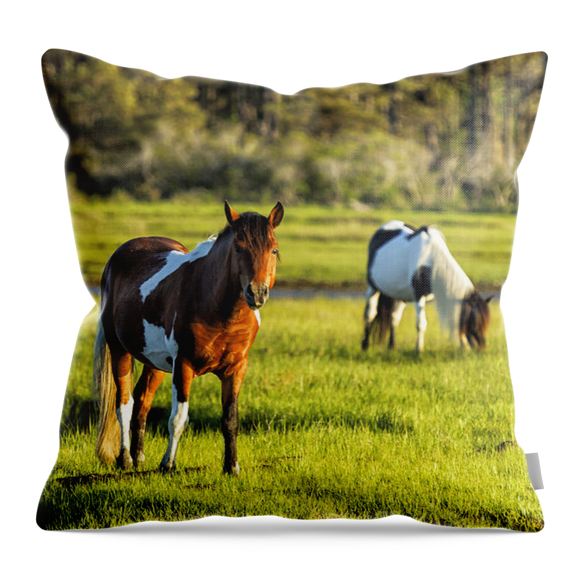 Horse Throw Pillow featuring the photograph Leaving the Chincoteague Ponies by Belinda Greb