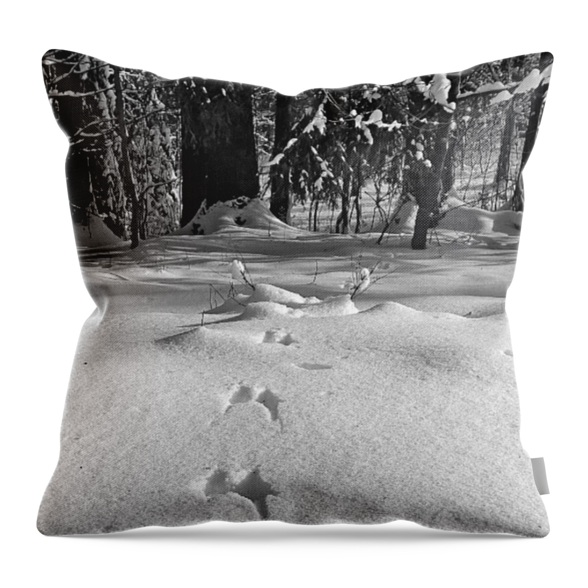 Lumia1520 Throw Pillow featuring the photograph Leaving Traces

#monochrome #bnw by Mandy Tabatt