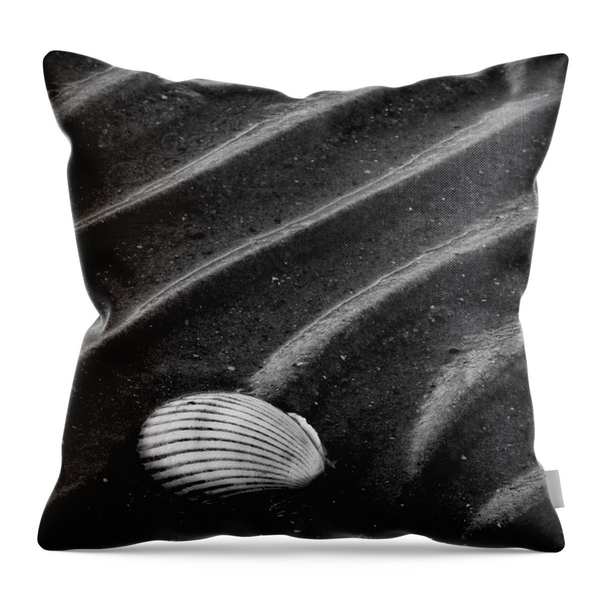 Beach Throw Pillow featuring the photograph Left Behind by Carrie Cranwill