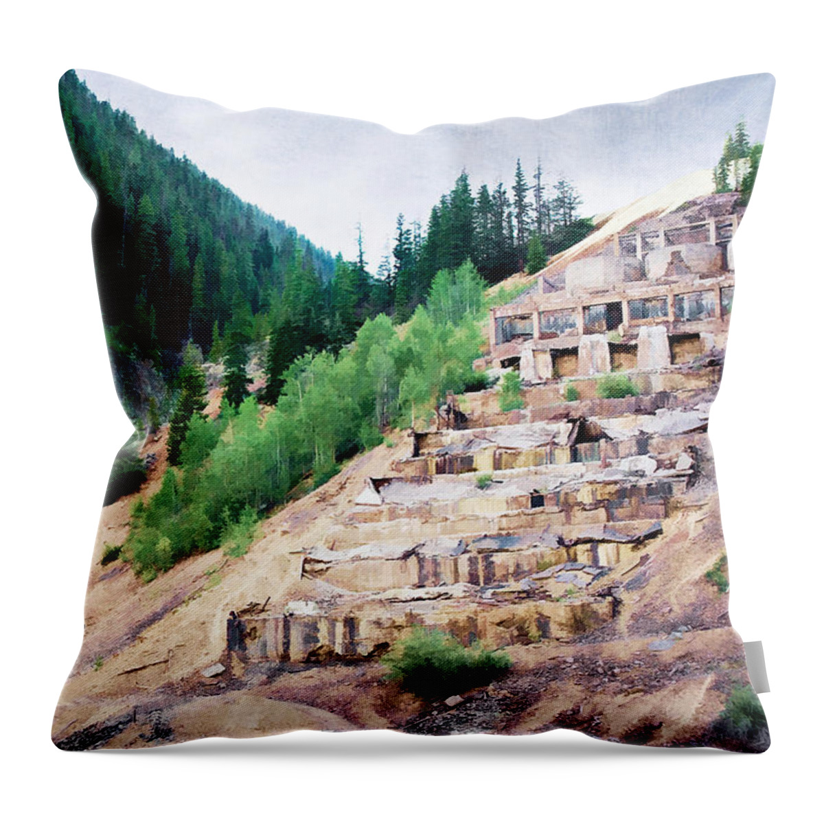 Colorado Throw Pillow featuring the photograph Leftovers from Sunnyside Mill by Lana Trussell