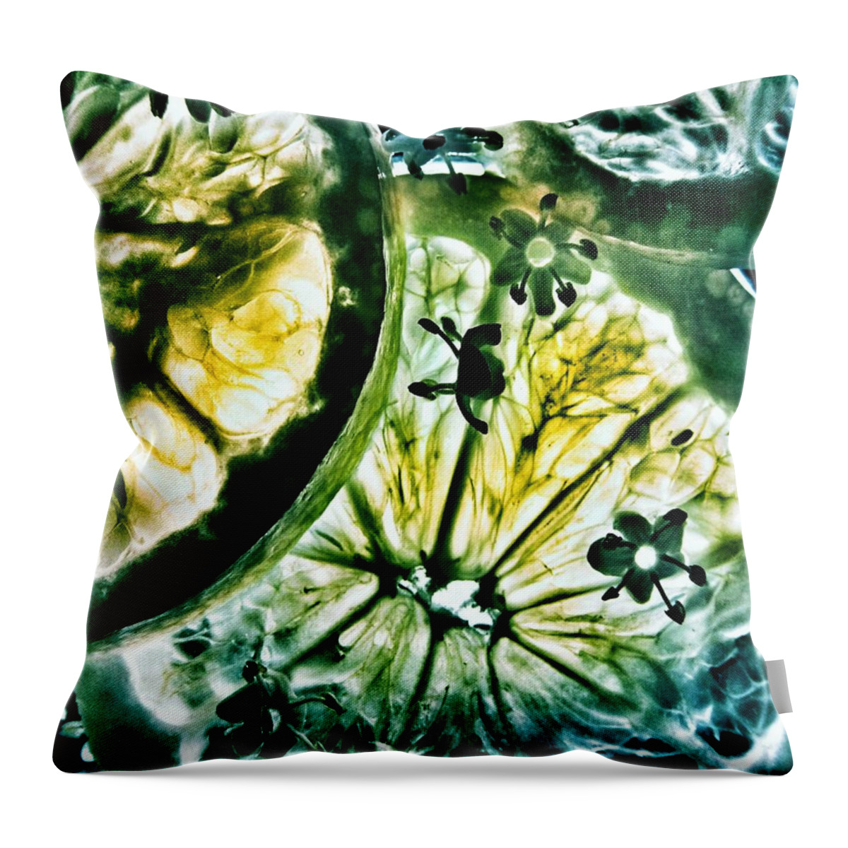 Lemon And Lime Throw Pillow featuring the photograph Lemon and Lime by Marianna Mills