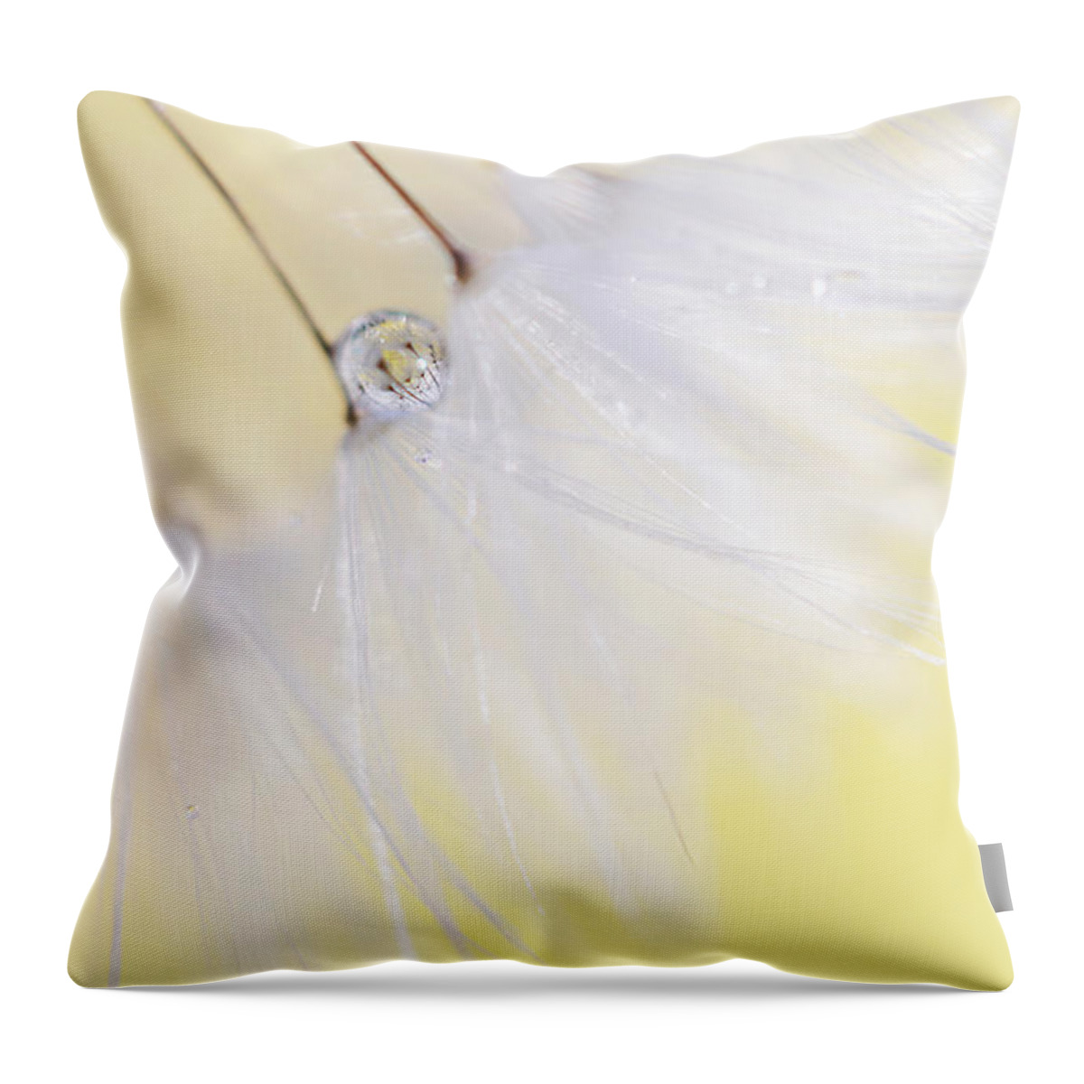 Yellow Wall Art Throw Pillow featuring the photograph Lemon Drop by Amy Tyler