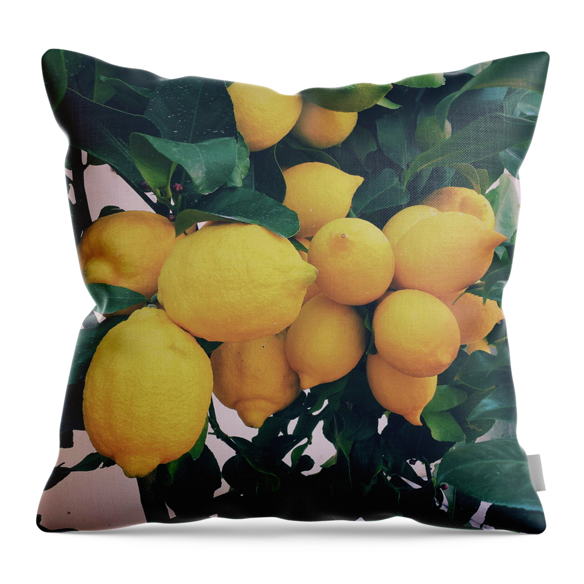 Lemon Throw Pillow featuring the photograph Lemon Tree by Happy Home Artistry