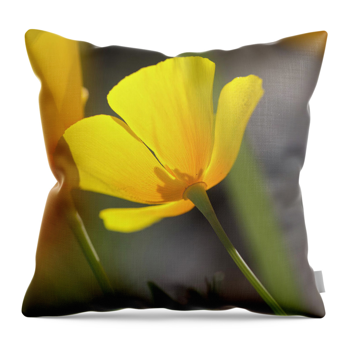 Yellow Throw Pillow featuring the photograph Lemon Yellow by Sue Cullumber