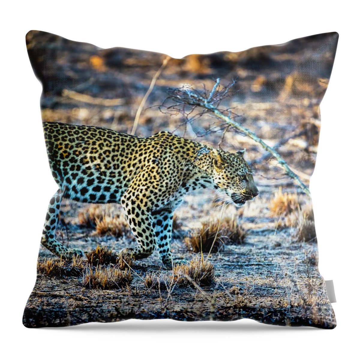 Leopard On The Prowl Throw Pillow featuring the photograph Leopard on the prowl by Daryl L Hunter