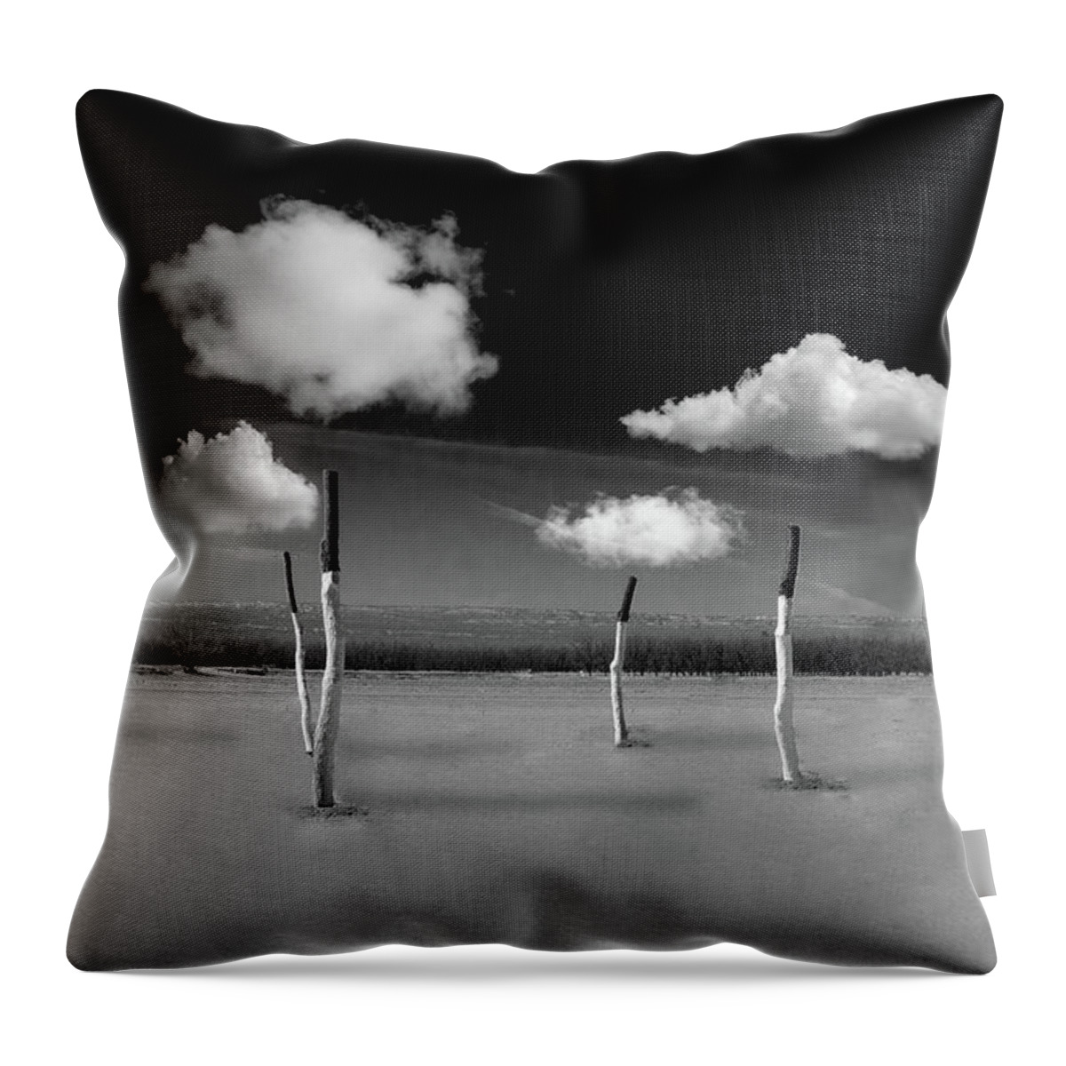 Trees Clouds Desert Sticks Sky Dry Throw Pillow featuring the photograph Let it rain... by Carolyn D'Alessandro